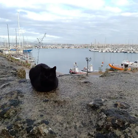 Damarilu Gasthuis Alghero